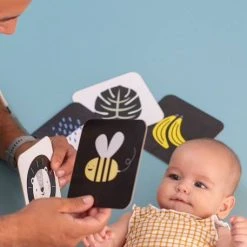 Cartes D'Activités - TAF TOYS Multicolore - Taf Toys -vertbaudet shop cartes dactivites taf toys 3