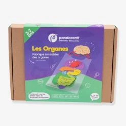Kit Collector Les Organes Du Corps 3/7 Ans PANDACRAFT Violet - Pandacraft