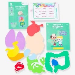 Kit Collector Les Organes Du Corps 3/7 Ans PANDACRAFT Violet - Pandacraft -vertbaudet shop kit collector les organes du corps 37 ans pandacraft 3