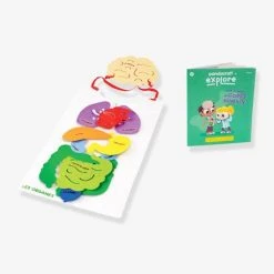 Kit Collector Les Organes Du Corps 3/7 Ans PANDACRAFT Violet - Pandacraft -vertbaudet shop kit collector les organes du corps 37 ans pandacraft 5
