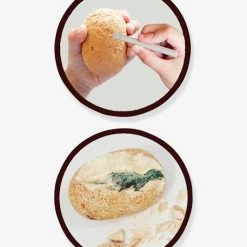 Maxi Pack 12 Oeufs Dinosaures - BUKI Orange - Buki -vertbaudet shop maxi pack 12 oeufs dinosaures buki 2