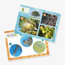 Mini Sciences - Microscope - BUKI Vert - Buki -vertbaudet shop mini sciences microscope buki 2